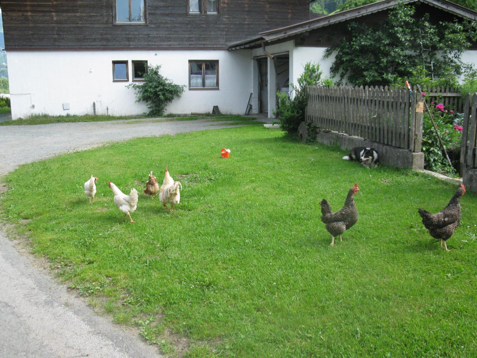 Bed and Breakfast Malernhof Kitzbühel Exterior foto